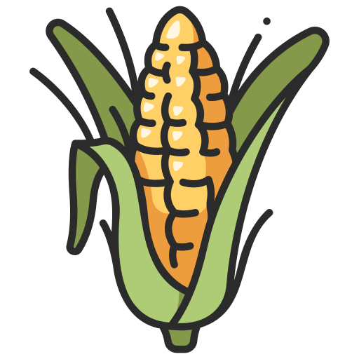 Maize Product